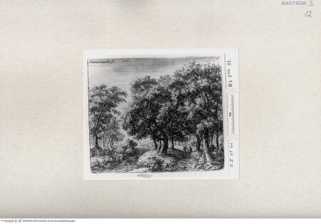 Vorderseite von bh284460d