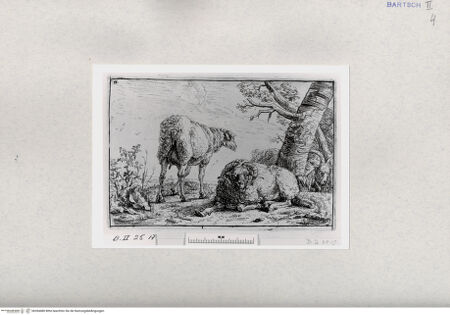 Vorderseite von  [http://creativecommons.org/publicdomain/mark/1.0/] ... - , bh284480. Foto.