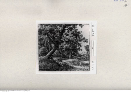 Vorderseite von  [http://creativecommons.org/publicdomain/mark/1.0/] ... - , bh284508. Foto.