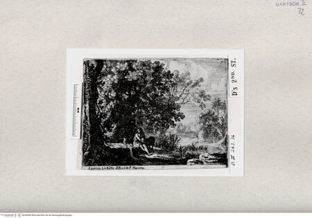 Vorderseite von  [http://creativecommons.org/publicdomain/mark/1.0/] Heiliger Johannes der Täufer in der Wüste - , bh284556. Foto.