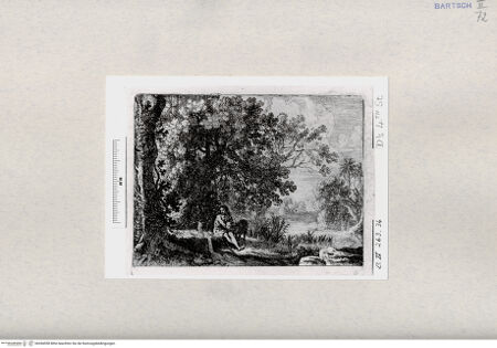 Vorderseite von  [http://creativecommons.org/publicdomain/mark/1.0/] Heiliger Johannes der Täufer in der Wüste - , bh284558. Foto.