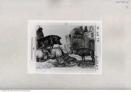 Vorderseite von  [http://creativecommons.org/publicdomain/mark/1.0/] ... - , bh284561. Foto.