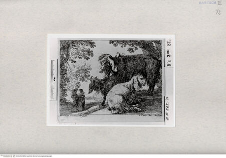 Vorderseite von  [http://creativecommons.org/publicdomain/mark/1.0/] ... - , bh284563. Foto.