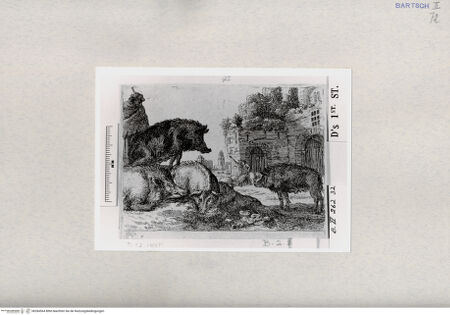 Vorderseite von  [http://creativecommons.org/publicdomain/mark/1.0/] ... - , bh284564. Foto.