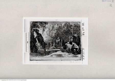 Vorderseite von  [http://creativecommons.org/publicdomain/mark/1.0/] ... - , bh284566. Foto.