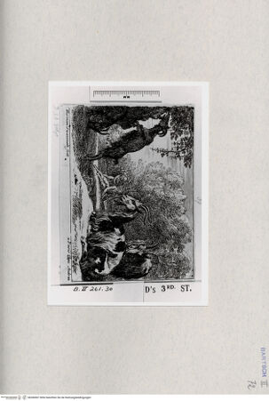 Vorderseite von  [http://creativecommons.org/publicdomain/mark/1.0/] ... - , bh284567. Foto.