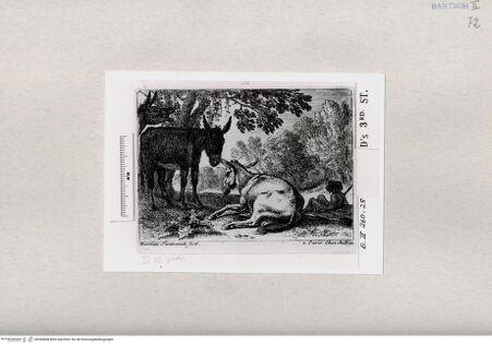 Vorderseite von  [http://creativecommons.org/publicdomain/mark/1.0/] ... - , bh284568. Foto.