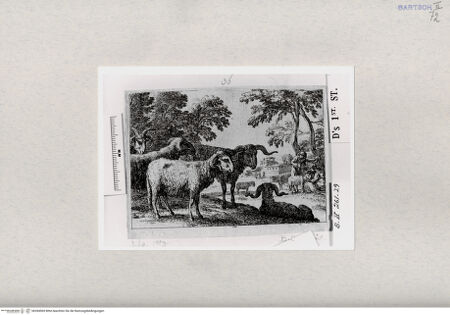 Vorderseite von  [http://creativecommons.org/publicdomain/mark/1.0/] ... - , bh284569. Foto.