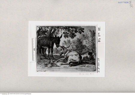 Vorderseite von  [http://creativecommons.org/publicdomain/mark/1.0/] ... - , bh284570. Foto.