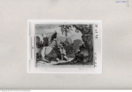 Vorderseite von  [http://creativecommons.org/publicdomain/mark/1.0/] ... - , bh284571. Foto.