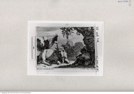 Vorderseite von  [http://creativecommons.org/publicdomain/mark/1.0/] ... - , bh284572. Foto.