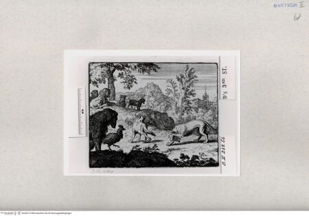 Vorderseite von  [http://creativecommons.org/publicdomain/mark/1.0/] ... - , bh284713. Foto.