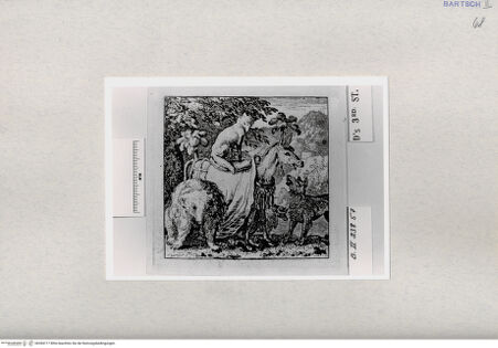 Vorderseite von  [http://creativecommons.org/publicdomain/mark/1.0/] ... - , bh284717. Foto.