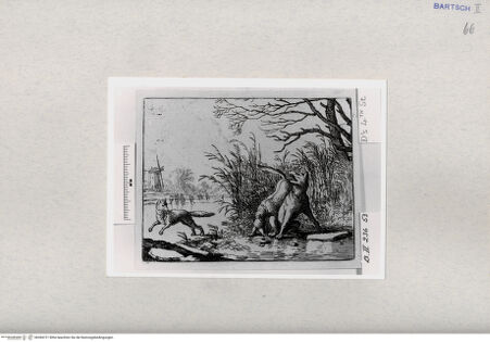 Vorderseite von  [http://creativecommons.org/publicdomain/mark/1.0/] ... - , bh284721. Foto.