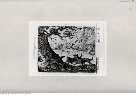 Vorderseite von  [http://creativecommons.org/publicdomain/mark/1.0/] ... - , bh284728. Foto.