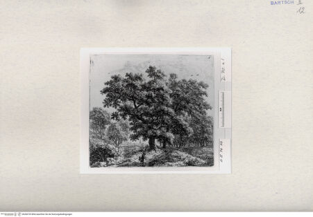 Vorderseite von  [http://creativecommons.org/publicdomain/mark/1.0/] ... - , bh284735. Foto.