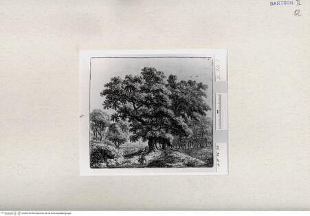 Vorderseite von  [http://creativecommons.org/publicdomain/mark/1.0/] ... - , bh284736. Foto.