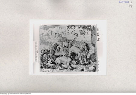 Vorderseite von  [http://creativecommons.org/publicdomain/mark/1.0/] ... - , bh284765. Foto.