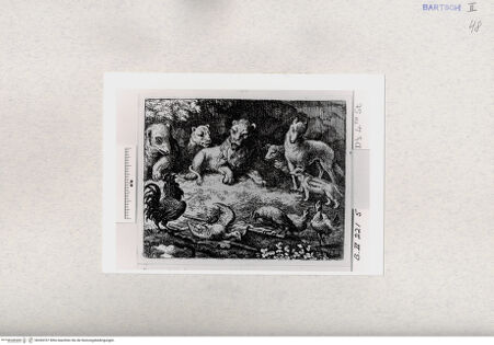 Vorderseite von  [http://creativecommons.org/publicdomain/mark/1.0/] ... - , bh284767. Foto.