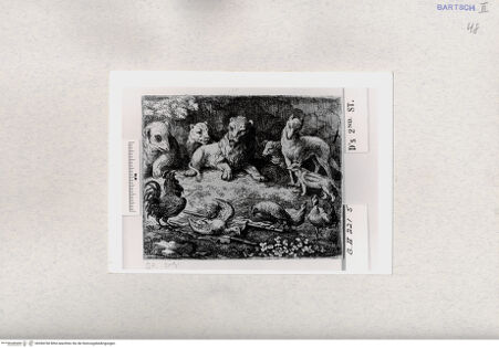 Vorderseite von  [http://creativecommons.org/publicdomain/mark/1.0/] ... - , bh284768. Foto.