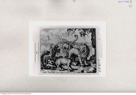 Vorderseite von  [http://creativecommons.org/publicdomain/mark/1.0/] ... - , bh284773. Foto.