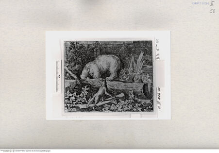 Vorderseite von  [http://creativecommons.org/publicdomain/mark/1.0/] ... - , bh284777. Foto.