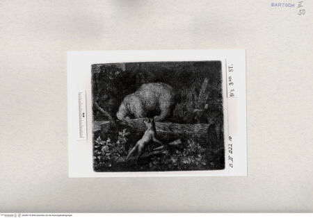 Vorderseite von  [http://creativecommons.org/publicdomain/mark/1.0/] ... - , bh284778. Foto.