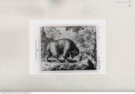 Vorderseite von  [http://creativecommons.org/publicdomain/mark/1.0/] ... - , bh284781. Foto.