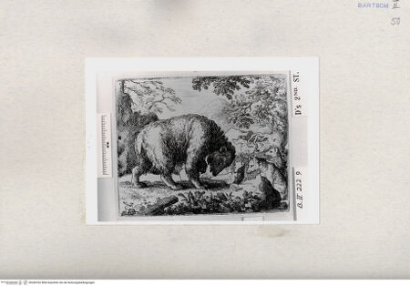 Vorderseite von  [http://creativecommons.org/publicdomain/mark/1.0/] ... - , bh284782. Foto.