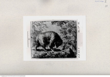 Vorderseite von  [http://creativecommons.org/publicdomain/mark/1.0/] ... - , bh284784. Foto.