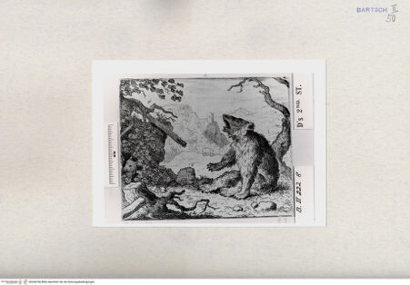 Vorderseite von  [http://creativecommons.org/publicdomain/mark/1.0/] ... - , bh284786. Foto.