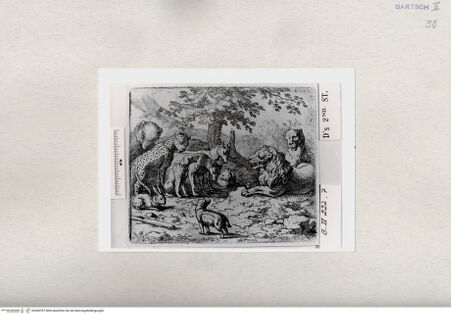 Vorderseite von  [http://creativecommons.org/publicdomain/mark/1.0/] ... - , bh284787. Foto.