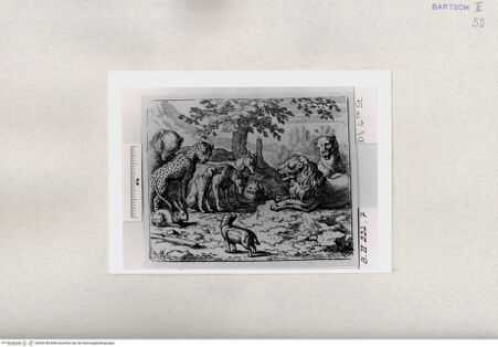 Vorderseite von  [http://creativecommons.org/publicdomain/mark/1.0/] ... - , bh284788. Foto.