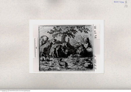 Vorderseite von  [http://creativecommons.org/publicdomain/mark/1.0/] ... - , bh284789. Foto.