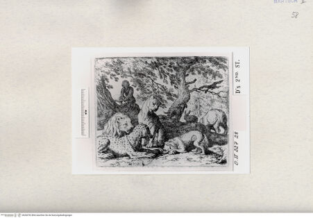 Vorderseite von  [http://creativecommons.org/publicdomain/mark/1.0/] ... - , bh284792. Foto.