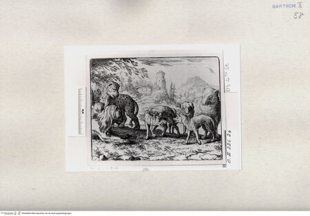 Vorderseite von  [http://creativecommons.org/publicdomain/mark/1.0/] ... - , bh284800. Foto.