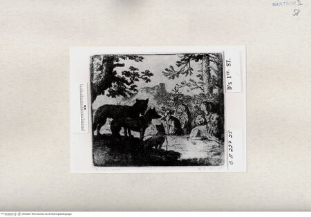 Vorderseite von  [http://creativecommons.org/publicdomain/mark/1.0/] ... - , bh284801. Foto.