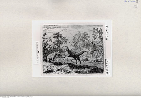 Vorderseite von  [http://creativecommons.org/publicdomain/mark/1.0/] ... - , bh284808. Foto.