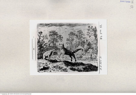 Vorderseite von  [http://creativecommons.org/publicdomain/mark/1.0/] ... - , bh284812. Foto.