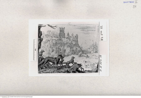 Vorderseite von  [http://creativecommons.org/publicdomain/mark/1.0/] ... - , bh284819. Foto.