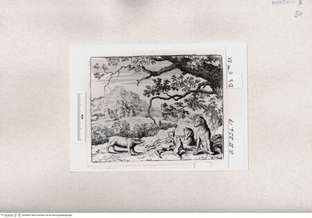 Vorderseite von  [http://creativecommons.org/publicdomain/mark/1.0/] ... - , bh284822. Foto.