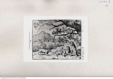 Vorderseite von  [http://creativecommons.org/publicdomain/mark/1.0/] ... - , bh284823. Foto.