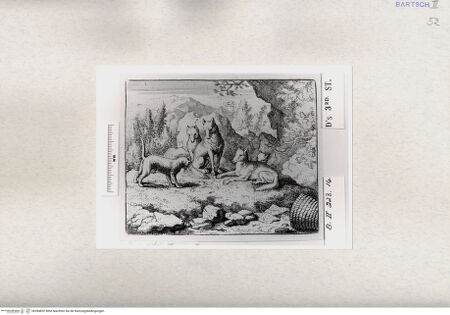 Vorderseite von  [http://creativecommons.org/publicdomain/mark/1.0/] ... - , bh284832. Foto.