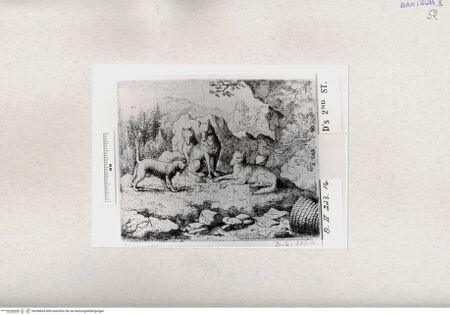 Vorderseite von  [http://creativecommons.org/publicdomain/mark/1.0/] ... - , bh284834. Foto.