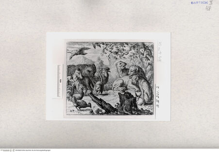 Vorderseite von  [http://creativecommons.org/publicdomain/mark/1.0/] ... - , bh284845. Foto.