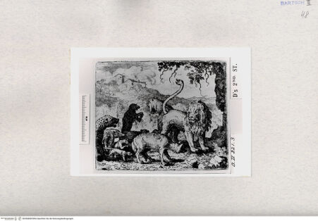 Vorderseite von  [http://creativecommons.org/publicdomain/mark/1.0/] ... - , bh284848. Foto.