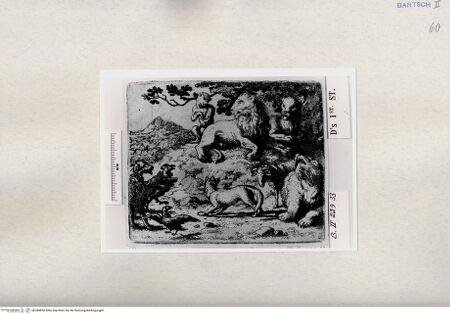 Vorderseite von  [http://creativecommons.org/publicdomain/mark/1.0/] ... - , bh284850. Foto.