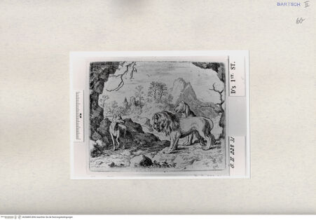 Vorderseite von  [http://creativecommons.org/publicdomain/mark/1.0/] ... - , bh284855. Foto.