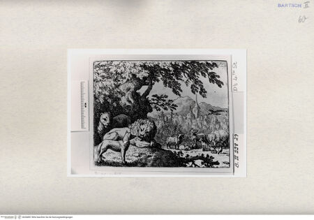 Vorderseite von  [http://creativecommons.org/publicdomain/mark/1.0/] ... - , bh284857. Foto.