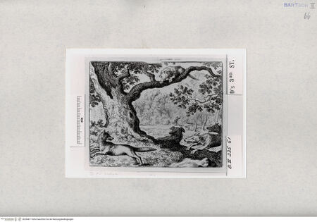 Vorderseite von  [http://creativecommons.org/publicdomain/mark/1.0/] ... - , bh284871. Foto.